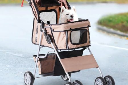 Picking the Right Carrier and Travel Product for Your Pet
