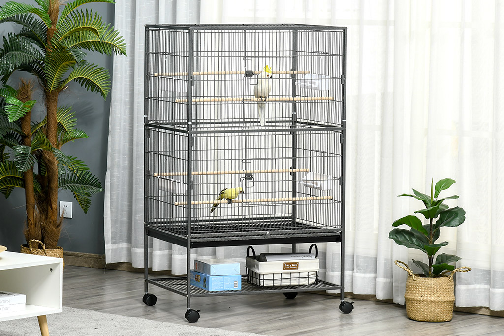 How to Choose the Right Bird Cage - Aosom