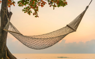 Bright orange hammock chair hanging on tropical beach with palm trees.