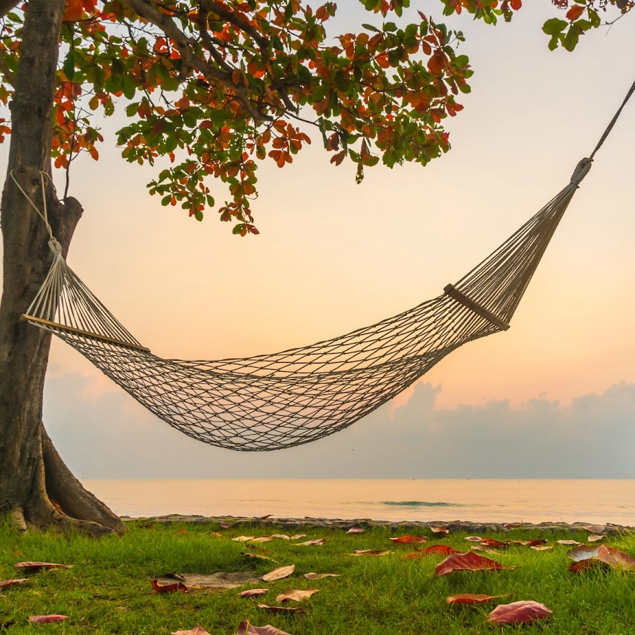  Bright orange hammock chair hanging on tropical beach with palm trees.
