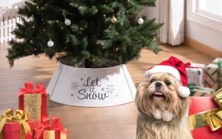 Festive Christmas tree with dog in Santa hat beside wrapped gifts.