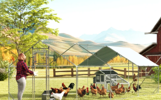 Large outdoor chicken run in countryside with woman feeding hens near barn and mountains.