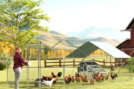 Large outdoor chicken run in countryside with woman feeding hens near barn and mountains.