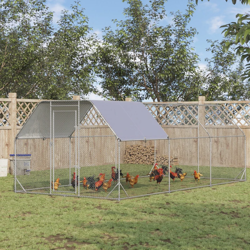 Spacious metal chicken run with roof cover and chickens roaming on grassy backyard.