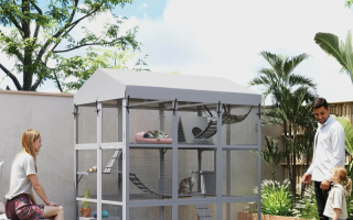 Outdoor wooden catio with canopy roof, ramps, hammocks, and cats resting in a garden space.