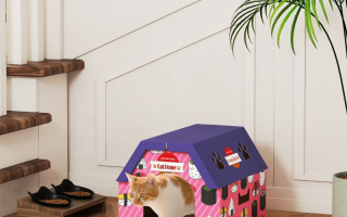 Cat walking out of colorful indoor cardboard house.