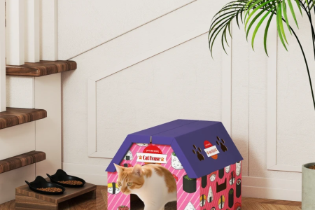 Cat walking out of colorful indoor cardboard house.