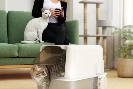 Cat using covered litter box while woman sits on sofa.
