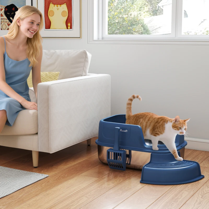 Cat stepping out of blue high-sided litter box.
