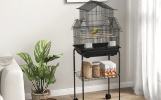 Bird cage on stand in bright modern living room.