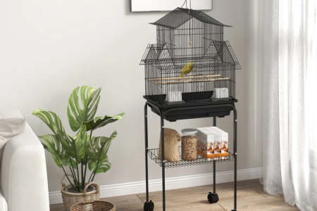 Bird cage on stand in bright modern living room.