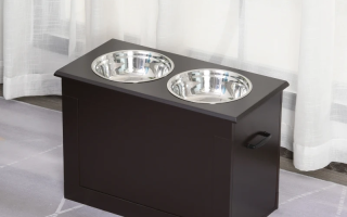 Types of Dog Bowls: Choosing the Best One for Your Pet