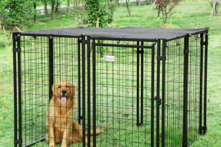 Christmas Gift Ideas for Pet Owners: Heartwarming Picks for Canadian Homes