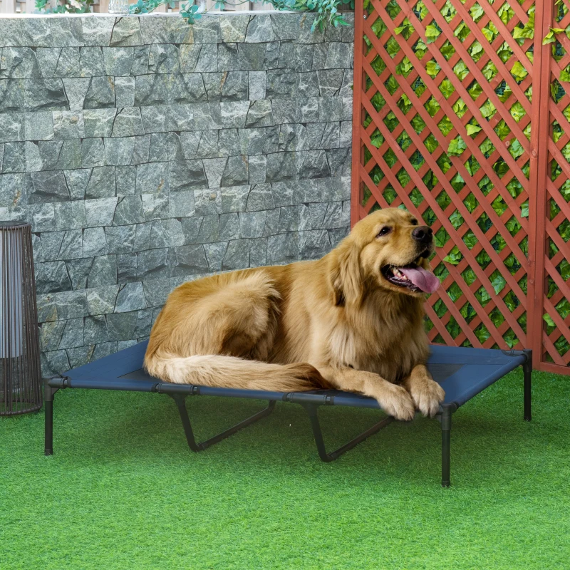 Golden retriever lying on an elevated outdoor dog bed in a fenced garden area.