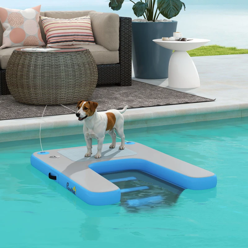   A small dog stands on a floating pool platform with a submerged ramp for easy water exit.