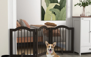 Corgi sitting by dark-brown freestanding dog gate in modern home hallway.