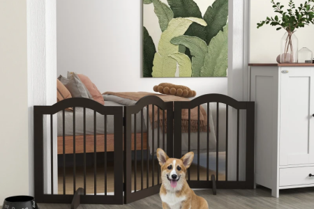 Corgi sitting by dark-brown freestanding dog gate in modern home hallway.