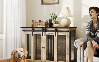 Large double dog crate beside woman and golden retriever in bright living room.