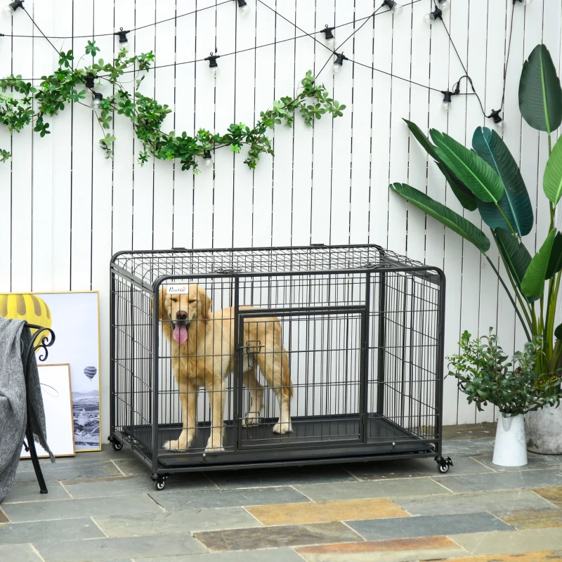 Large outdoor steel dog crate with golden retriever standing inside.