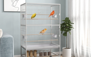 Modern indoor bird cage with colorful birds perched on wooden dowels beside window.