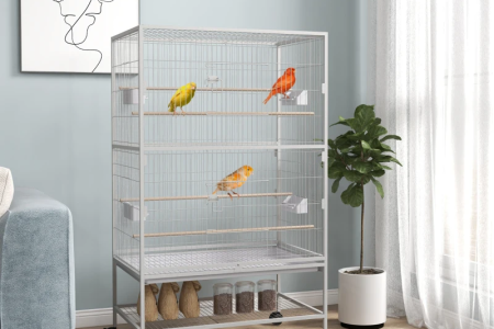 Modern indoor bird cage with colorful birds perched on wooden dowels beside window.