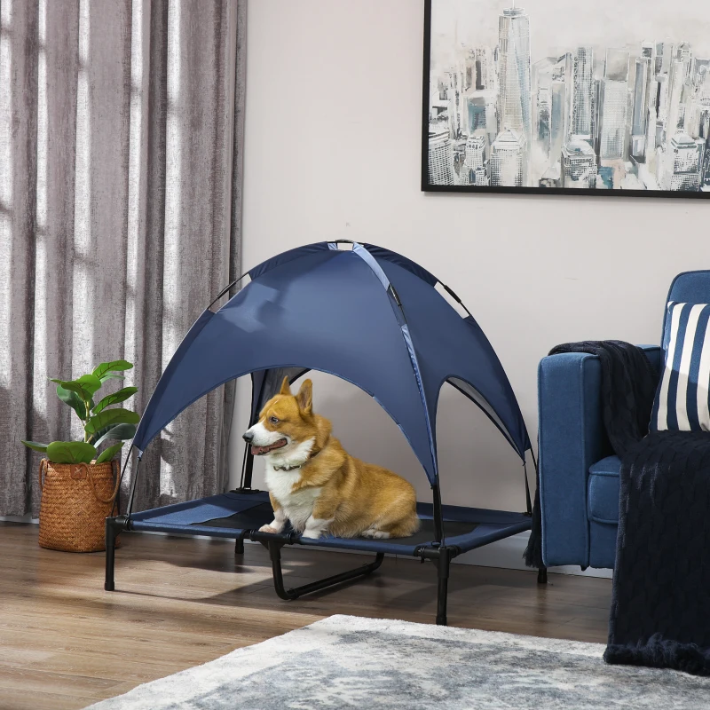 Corgi sitting on a blue elevated dog bed with a canopy next to a blue sofa.