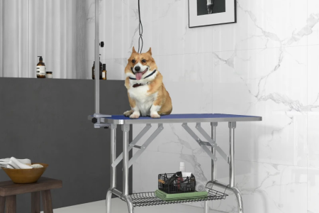 Portable dog grooming table with shelf, adjustable arm, blue top, and a Corgi.