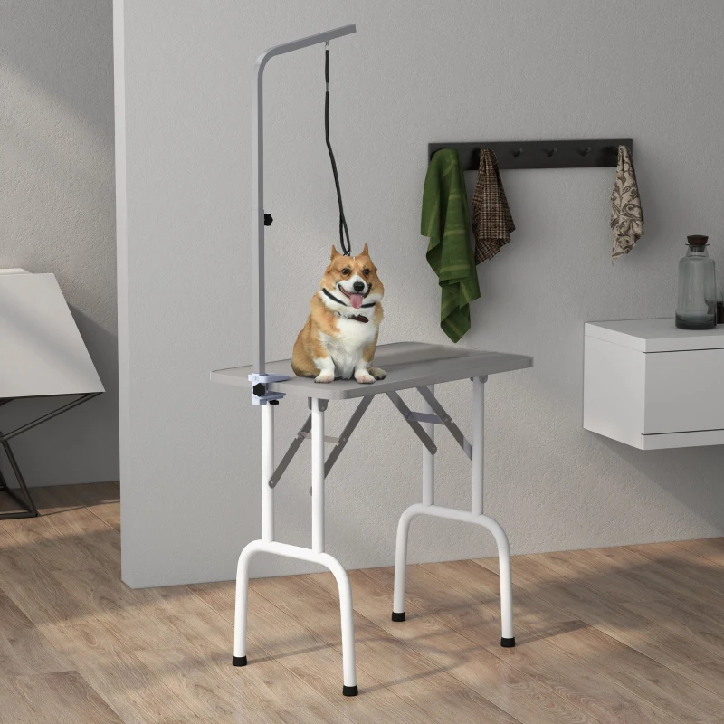 Portable folding grooming table with a white frame, grey top, and Corgi dog.