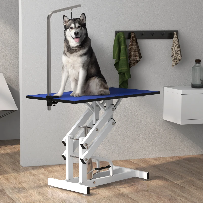 Hydraulic Z-frame grooming table in a bathroom with a blue top and a Siberian Husky.