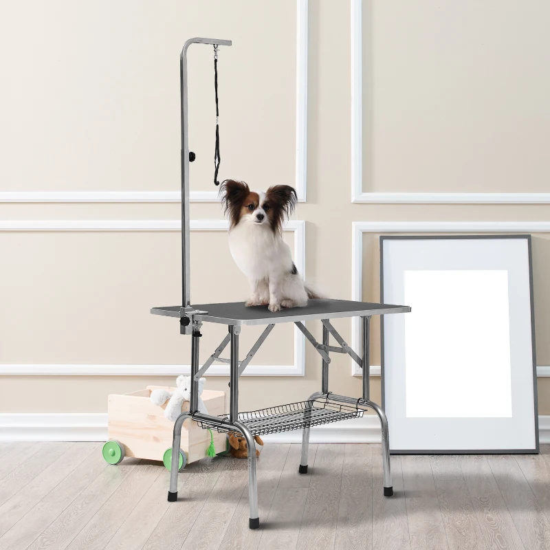 Stainless steel dog grooming table with adjustable arm, shelf, and a Papillon dog.