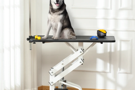 A large dog sitting calmly on an electric grooming table with tools placed beside it.