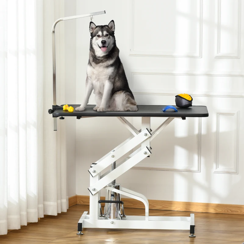 A large dog sitting calmly on an electric grooming table with tools placed beside it.