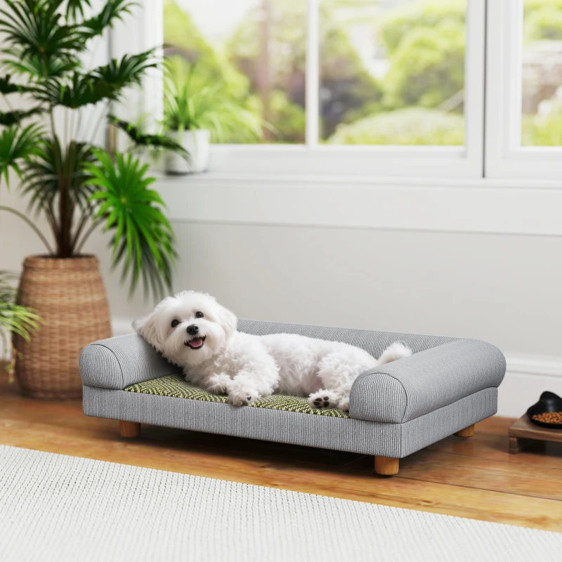 white puppy on a sofa bed near a window