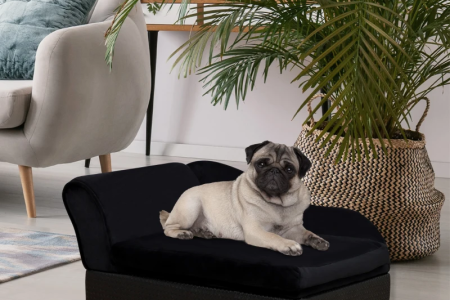 13 Best PawHut Dog Sofas for Small, Medium & Large Dogs