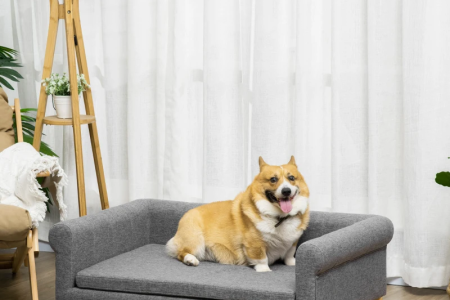 Dog resting on grey couch inside living room.