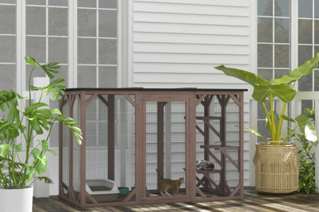 Cat Cage Decoration Ideas: Simple Ways to Make It Cozy and Fun