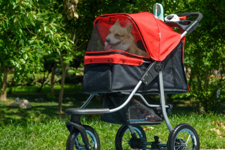 man pushing dog stroller on park pathway.