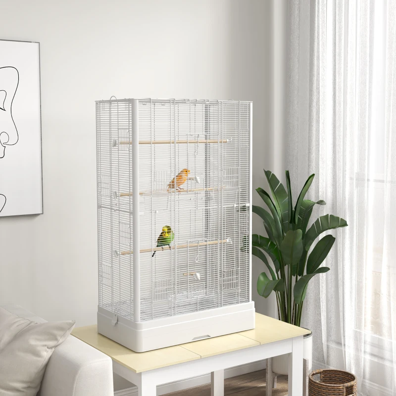 Two birds perched inside tall white bird cage in bright room.
