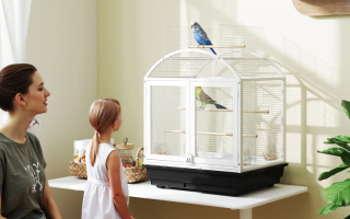 Mother and child watching birds in a white bird cage.