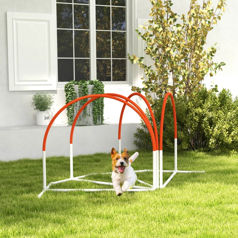Dog running through curved agility arches on grass.