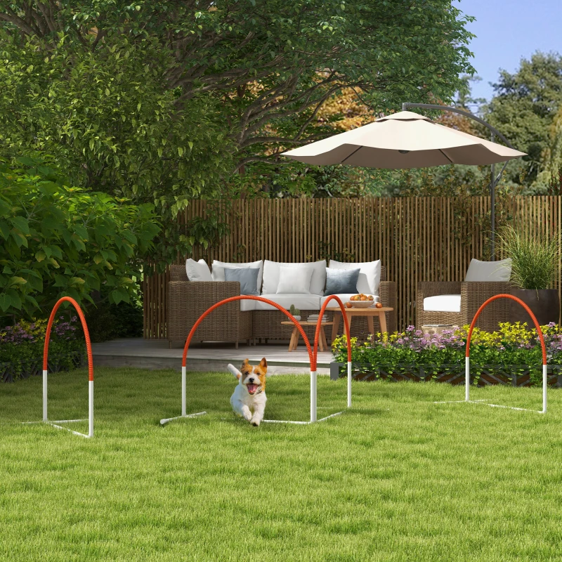 Dog running through curved agility arches on backyard grass.