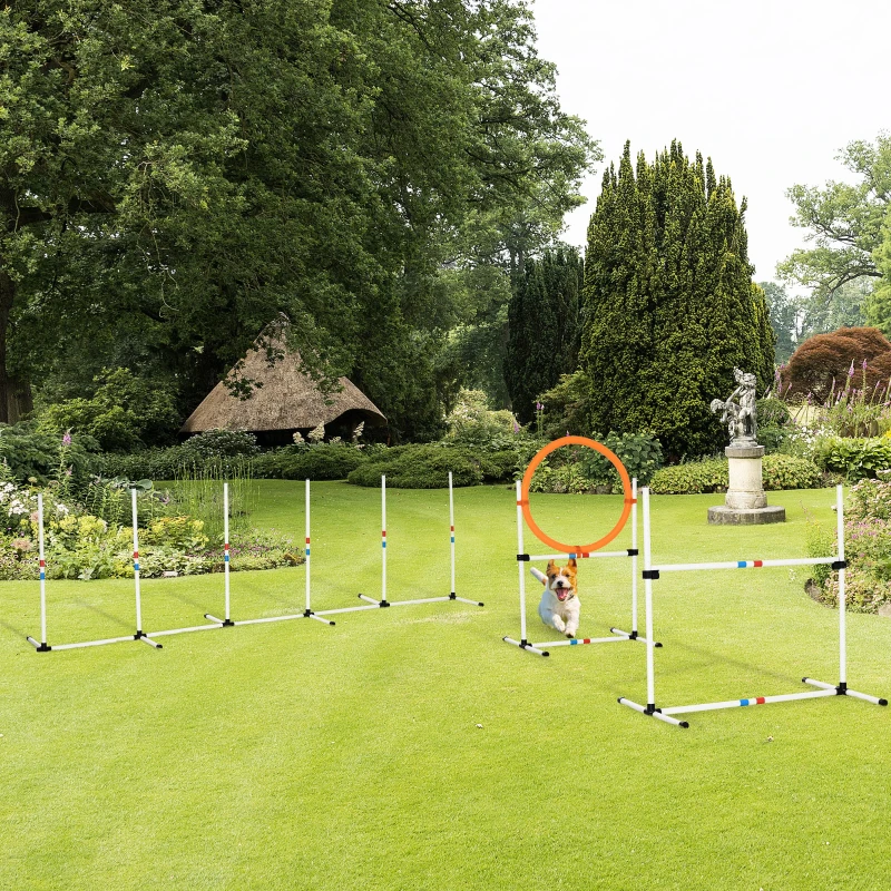 Dog jumping through hoop and over hurdles on open lawn.