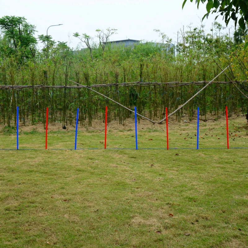 Colored weave poles arranged on grass for dog agility training.