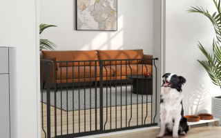 Dog sitting beside tall metal gate blocking access to living room.