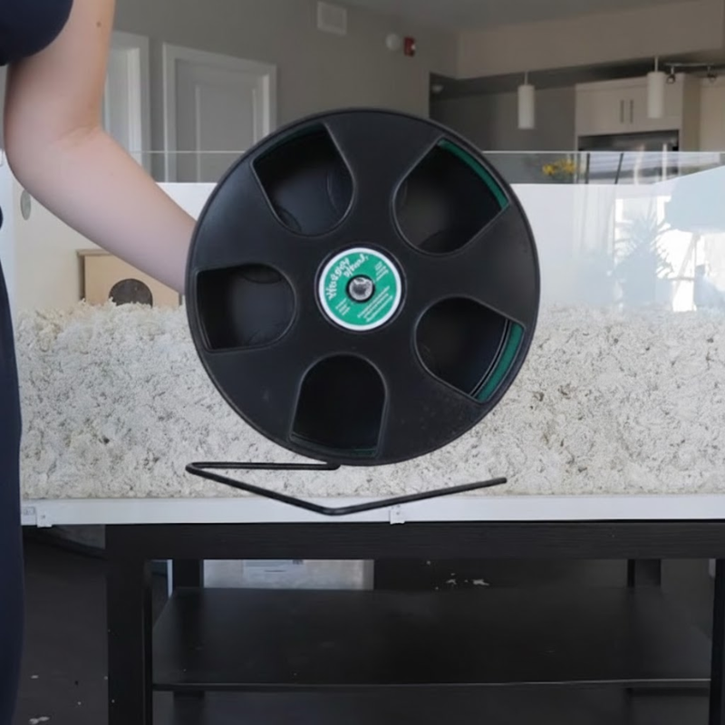 Person holding a large black hamster wheel above deep bedding in a cage.