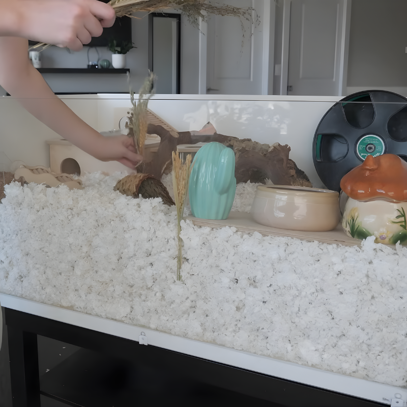 Person placing natural forage sprays upright into bedding inside a hamster enclosure.