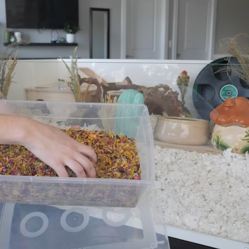 Hand mixing dried herbs and flowers in a plastic container beside a hamster cage.