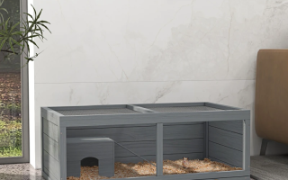 How to Clean a Hamster Cage