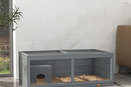 How to Clean a Hamster Cage