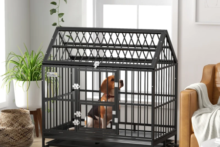 Beagle sitting inside a house-shaped black metal dog crate.